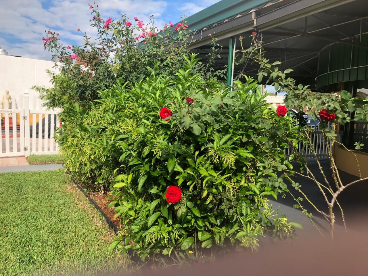 Bali Hai Motel Fort Lauderdale Eksteriør billede